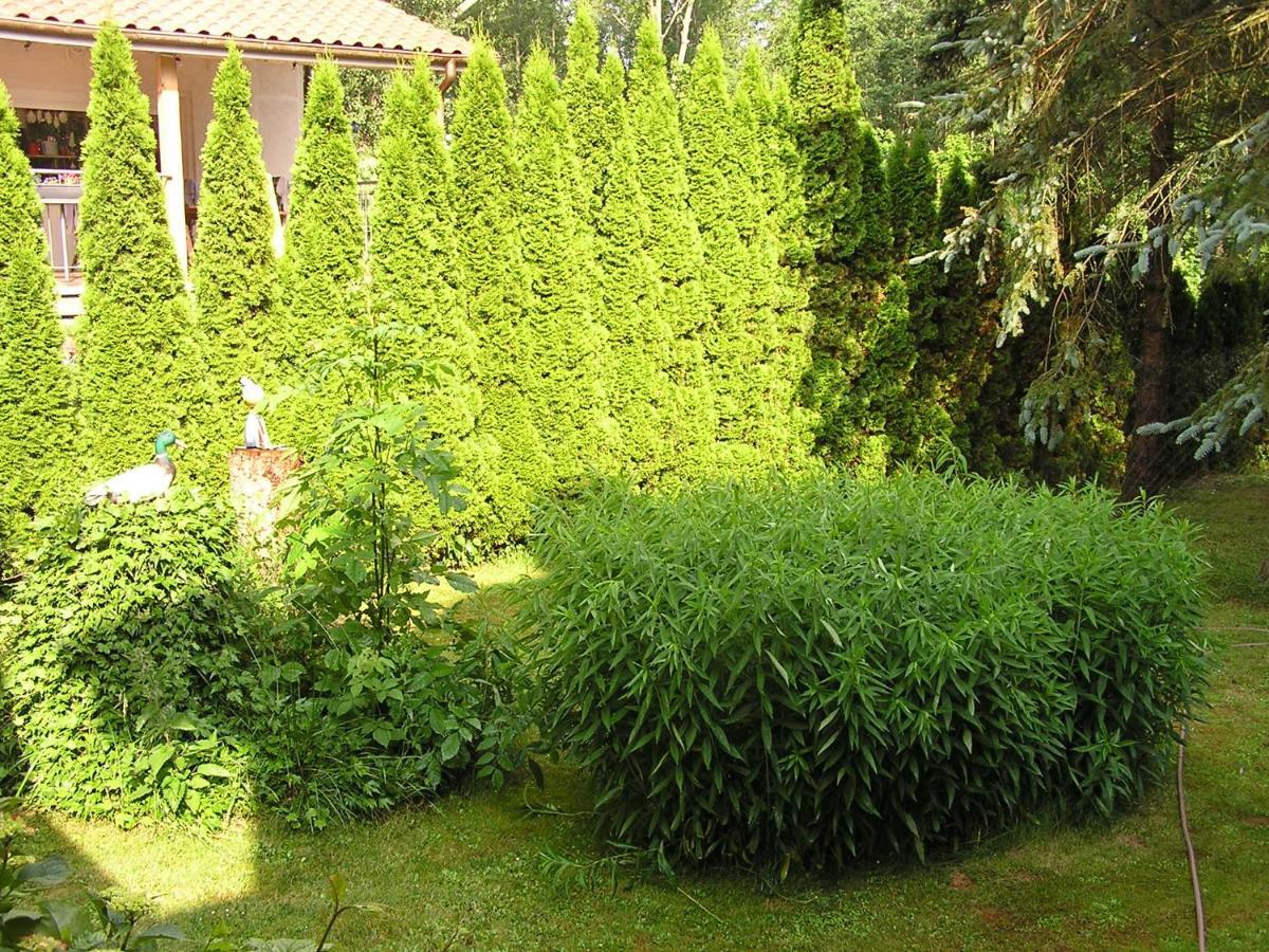 Peeneurlaub Lassan Dış mekan fotoğraf